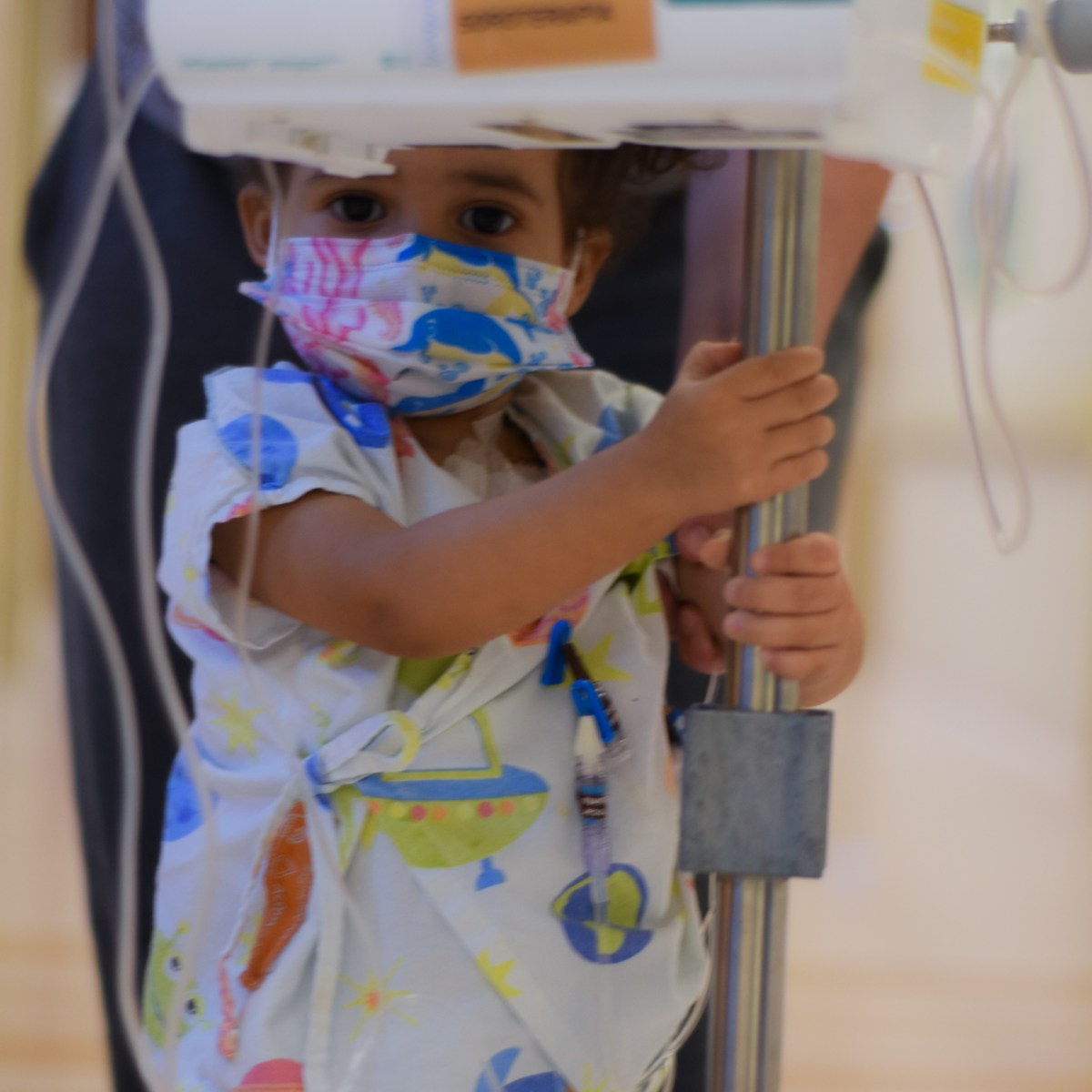 O Passeio de&nbsp;Heloísa